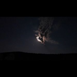 Meet your Posher, Dani